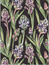 Löpare Hyacint
